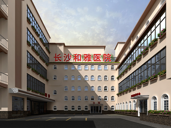 长沙和雅医院概况
